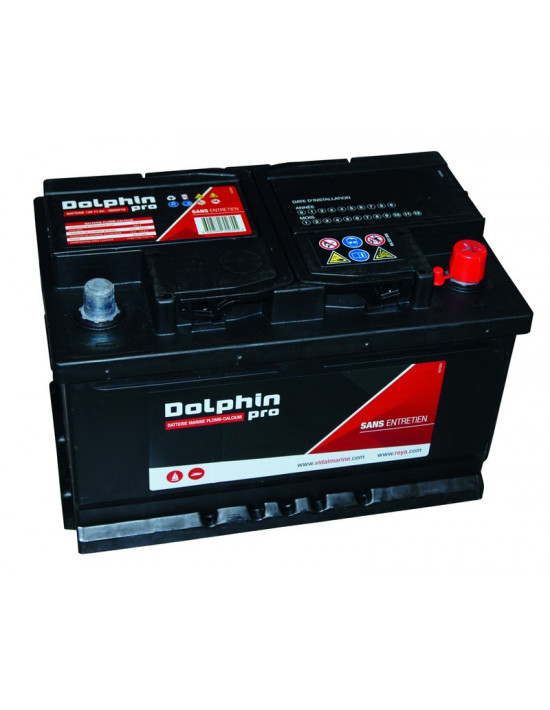 Batterie Marine Dolphin Pro 70A