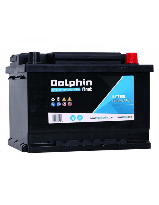 Batterie Dolphin First 110A