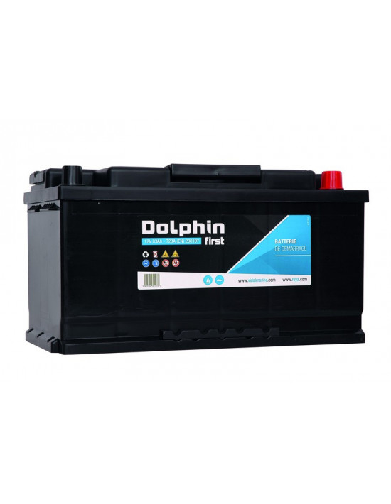 Batterie Dolphin First 95A