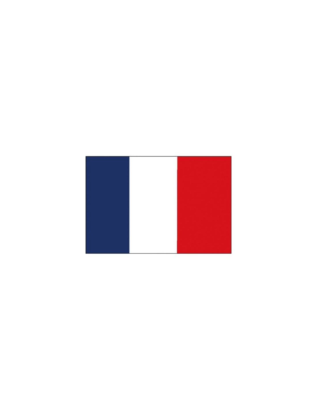 Pavillon national français - conforme aux règles navales