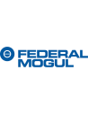 FEDERAL MOGUL CORP.