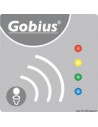 Gobius