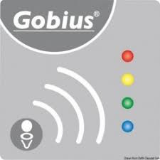 Gobius
