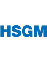 HSGM