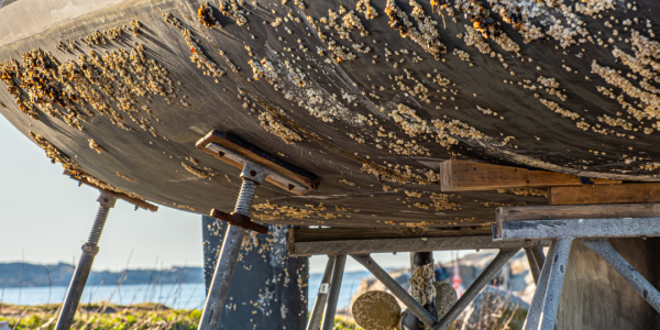 Les Enjeux du Biofouling : Protéger Nos Navires et Nos Écosystèmes